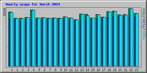 Hourly usage for March 2024