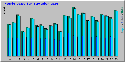 Hourly usage for September 2024