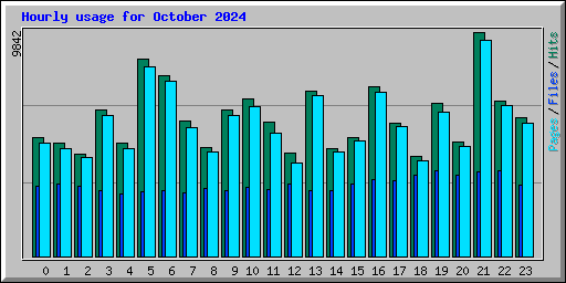 Hourly usage for October 2024