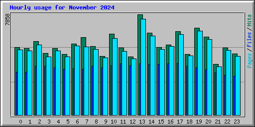 Hourly usage for November 2024