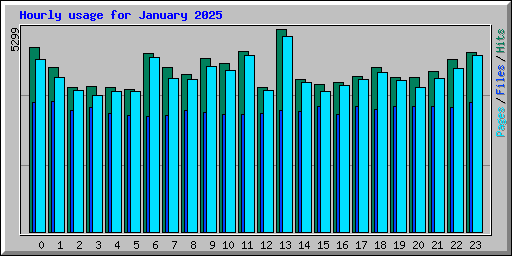 Hourly usage for January 2025