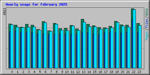 Hourly usage for February 2025