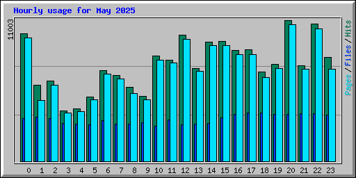 Hourly usage for May 2025