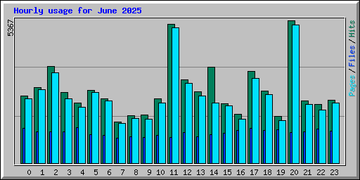 Hourly usage for June 2025