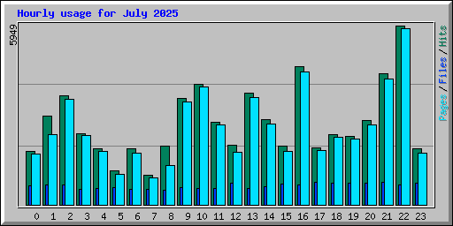 Hourly usage for July 2025
