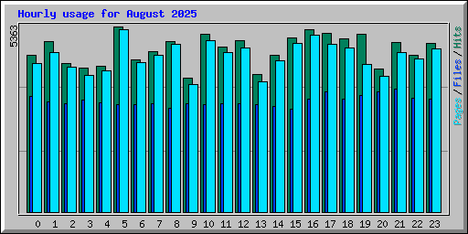 Hourly usage for August 2025