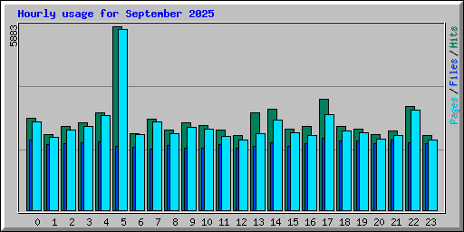 Hourly usage for September 2025