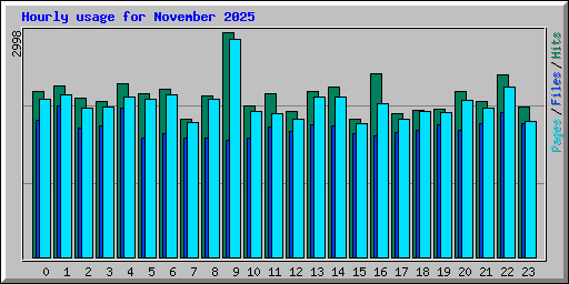 Hourly usage for November 2025