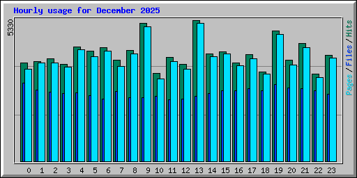 Hourly usage for December 2025