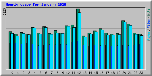 Hourly usage for January 2026