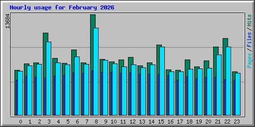Hourly usage for February 2026
