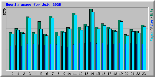 Hourly usage for July 2026