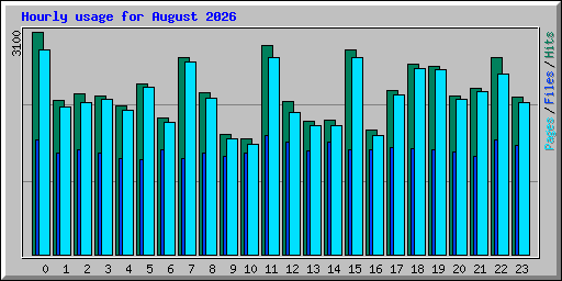 Hourly usage for August 2026